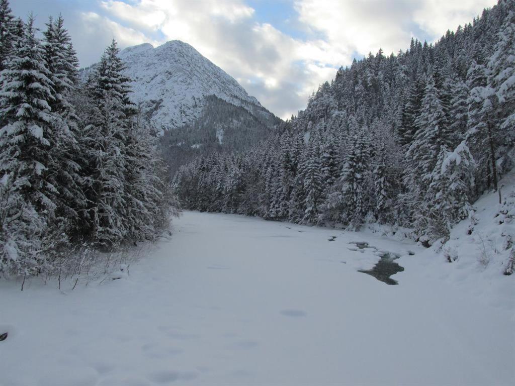 Gaestehaus Hoamat'l * Bach (Tyrol)